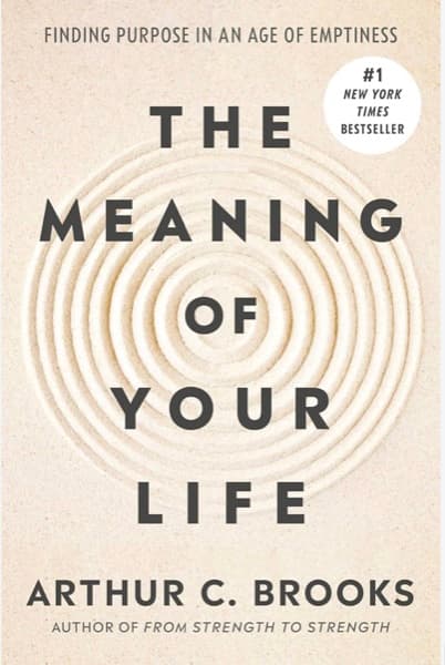 The Meaning of Your Life cover